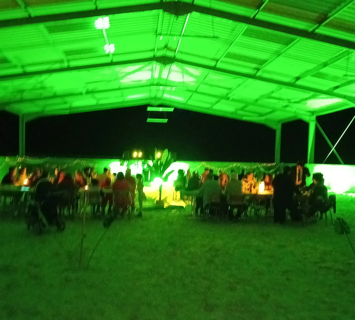 Réception en extérieur, ambiance verte — DJ association DJ fête de village The French Deejay's