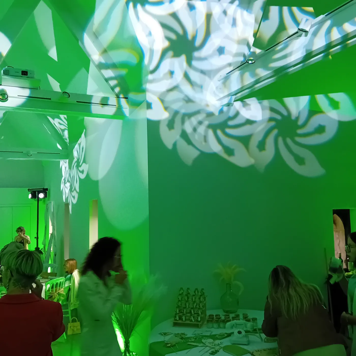 Jeu de lumière verte et gobo personnalisé — DJ mariage DJ anniversaire The French Deejay's