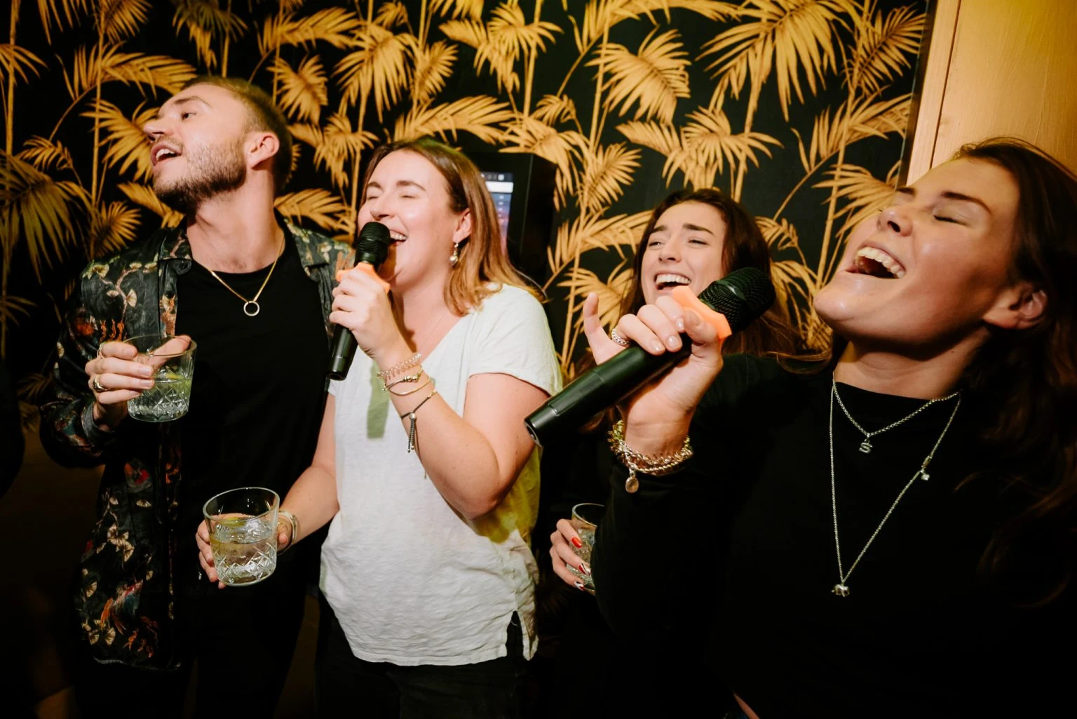 Karaoké et animation conviviale — association The French Deejay's